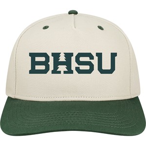 Embroidered BHSU Snapback Hat -  stonedarkgreen